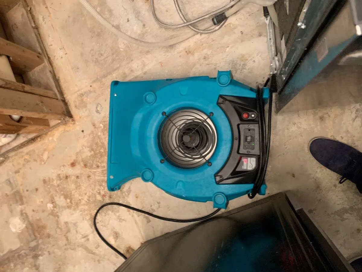 Air mover drying equipment for Mold Remediation & Removal in Huntington